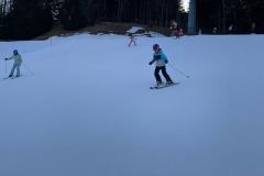 Marvin_IMG_3554.jpeg_compressed