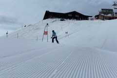 Marvin_IMG_3567.jpeg_compressed