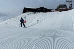 Marvin_IMG_3579.jpeg_compressed