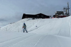 Marvin_IMG_3583.jpeg_compressed