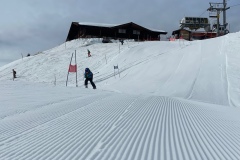 Marvin_IMG_3586.jpeg_compressed