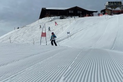 Marvin_IMG_3596.jpeg_compressed