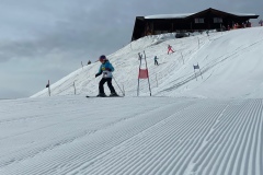 Marvin_IMG_3597.jpeg_compressed