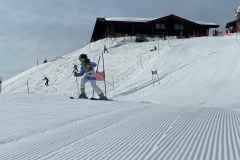 Marvin_IMG_3609.jpeg_compressed