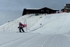 Marvin_IMG_3613.jpeg_compressed