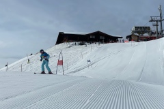 Marvin_IMG_3632.jpeg_compressed