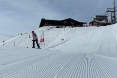 Marvin_IMG_3638.jpeg_compressed