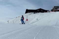 Marvin_IMG_3641.jpeg_compressed