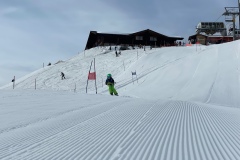 Marvin_IMG_3644.jpeg_compressed