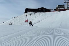 Marvin_IMG_3647.jpeg_compressed