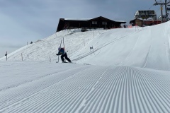 Marvin_IMG_3650.jpeg_compressed