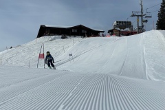 Marvin_IMG_3653.jpeg_compressed