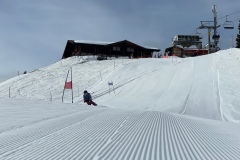 Marvin_IMG_3656.jpeg_compressed