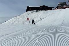 Marvin_IMG_3659.jpeg_compressed