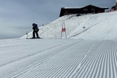 Marvin_IMG_3660.jpeg_compressed