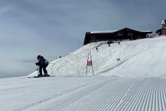 Marvin_IMG_3664.jpeg_compressed