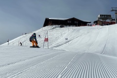 Marvin_IMG_3677.jpeg_compressed