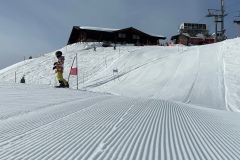 Marvin_IMG_3681.jpeg_compressed