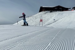 Marvin_IMG_3685.jpeg_compressed