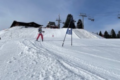 Marvin_IMG_3692.jpeg_compressed