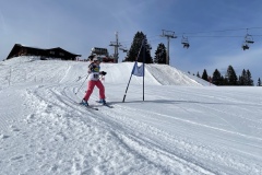 Marvin_IMG_3693.jpeg_compressed