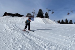 Marvin_IMG_3695.jpeg_compressed