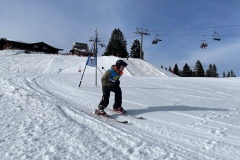 Marvin_IMG_3696.jpeg_compressed