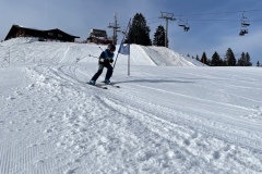 Marvin_IMG_3698.jpeg_compressed