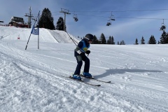 Marvin_IMG_3699.jpeg_compressed