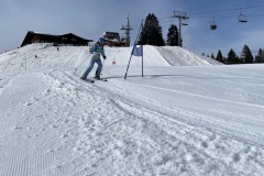 Marvin_IMG_3701.jpeg_compressed