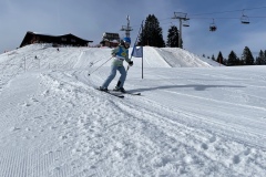 Marvin_IMG_3702.jpeg_compressed