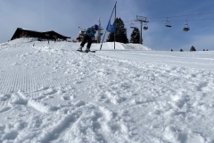 Marvin_IMG_3705.jpeg_compressed