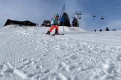 Marvin_IMG_3707.jpeg_compressed