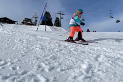 Marvin_IMG_3708.jpeg_compressed