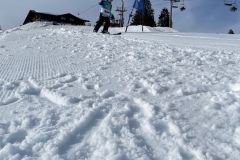 Marvin_IMG_3714.jpeg_compressed