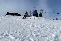 Marvin_IMG_3716.jpeg_compressed