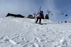 Marvin_IMG_3717.jpeg_compressed