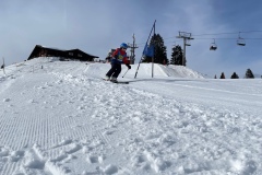 Marvin_IMG_3719.jpeg_compressed