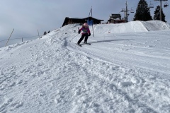 Marvin_IMG_3722.jpeg_compressed