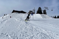 Marvin_IMG_3724.jpeg_compressed