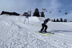 Marvin_IMG_3725.jpeg_compressed