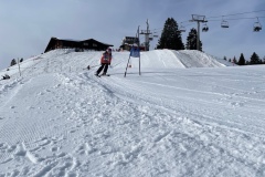 Marvin_IMG_3727.jpeg_compressed