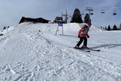 Marvin_IMG_3728.jpeg_compressed