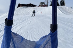 Marvin_IMG_3731.jpeg_compressed