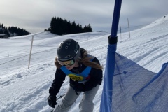 Marvin_IMG_3732.jpeg_compressed