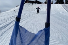 Marvin_IMG_3735.jpeg_compressed