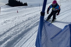 Marvin_IMG_3736.jpeg_compressed