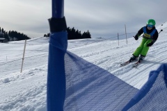 Marvin_IMG_3744.jpeg_compressed