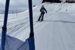 Marvin_IMG_3748.jpeg_compressed