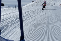 Marvin_IMG_3752.jpeg_compressed